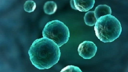 Cyclospora