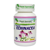 Holistix Echinacea 60s