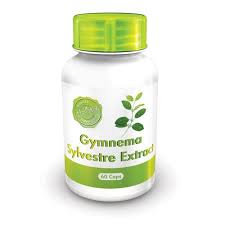 Holistix Gymnema Sylvestre Extract 60s