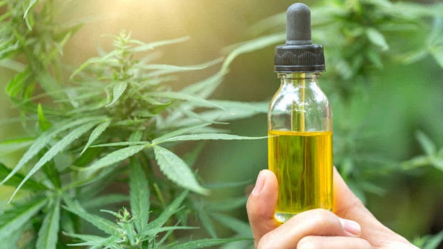 Cannabis oil (medical cannabis)