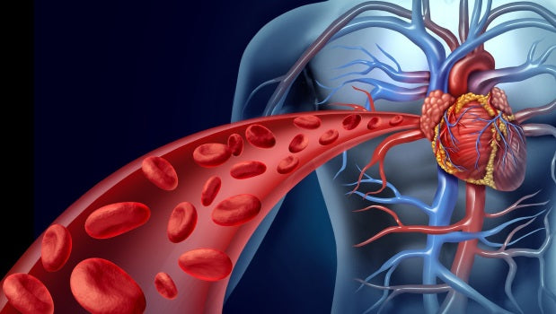 Cardiovascular disease