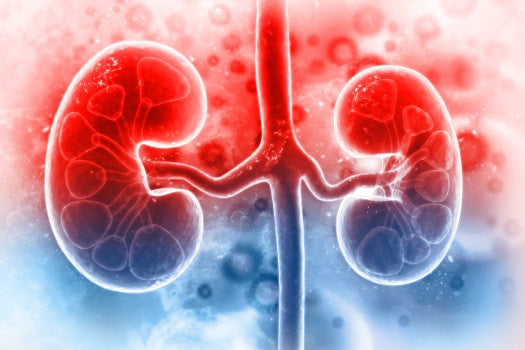 Chronic kidney disease