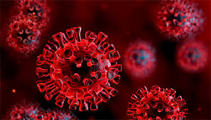 Coronavirus (COVID-19)