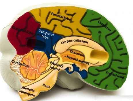 Corticobasal degeneration