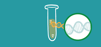 Genetic and genomic testing