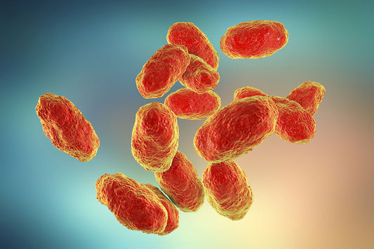 Haemophilus influenzae type b (Hib)