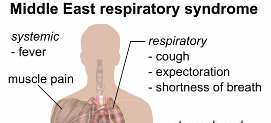 Middle East respiratory syndrome (MERS)