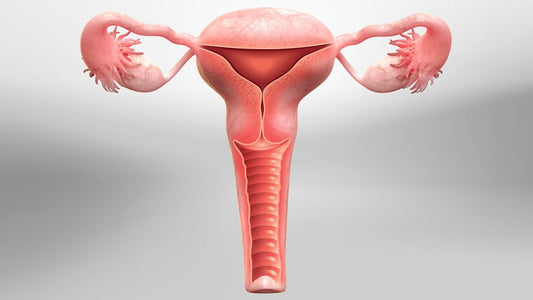 Hysterectomy