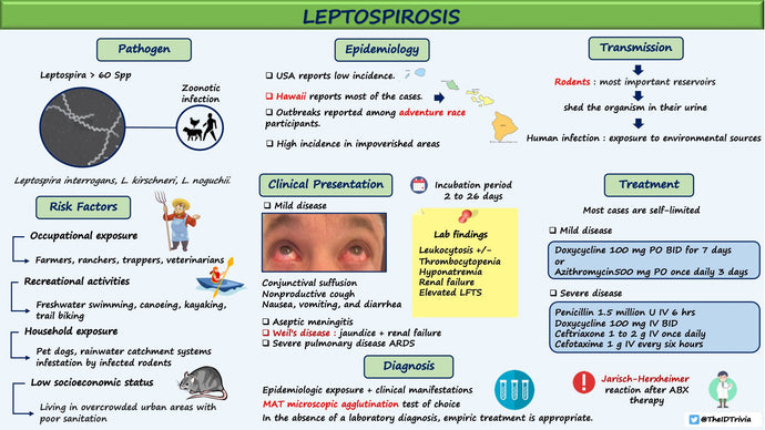 Leptospirosis (Weil's disease)