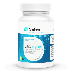 Amipro Lactizyme 60 Capsules