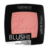 Catrice Blush Box