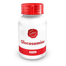 Holistix Glucosamine & Chondroitin 90s