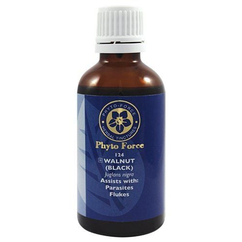 Phyto Force Walnut Black 50ml